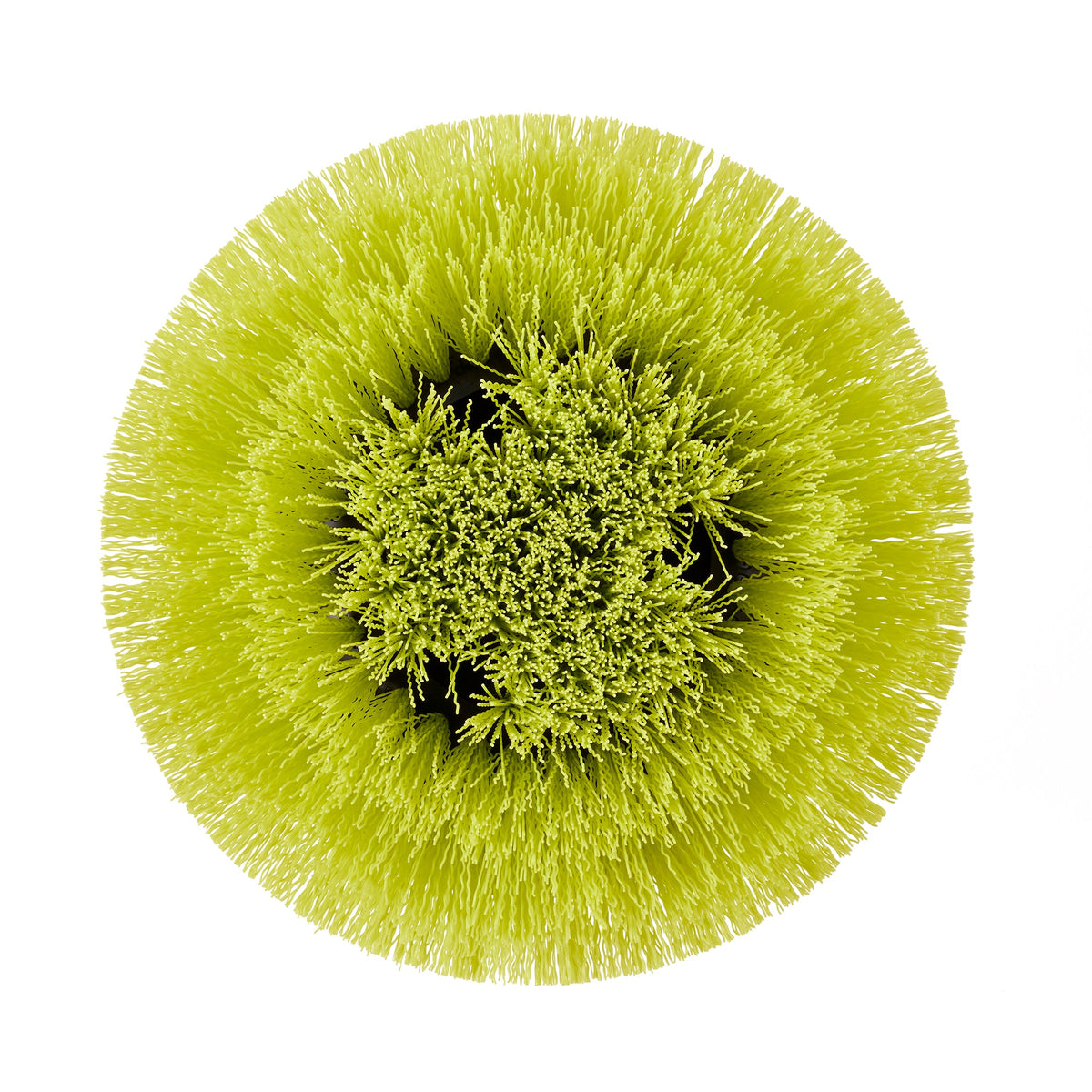 MEDIUM BRISTLE ROUND BRUSH Image 7